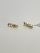 Load image into Gallery viewer, Aurora Crawler Earrings
