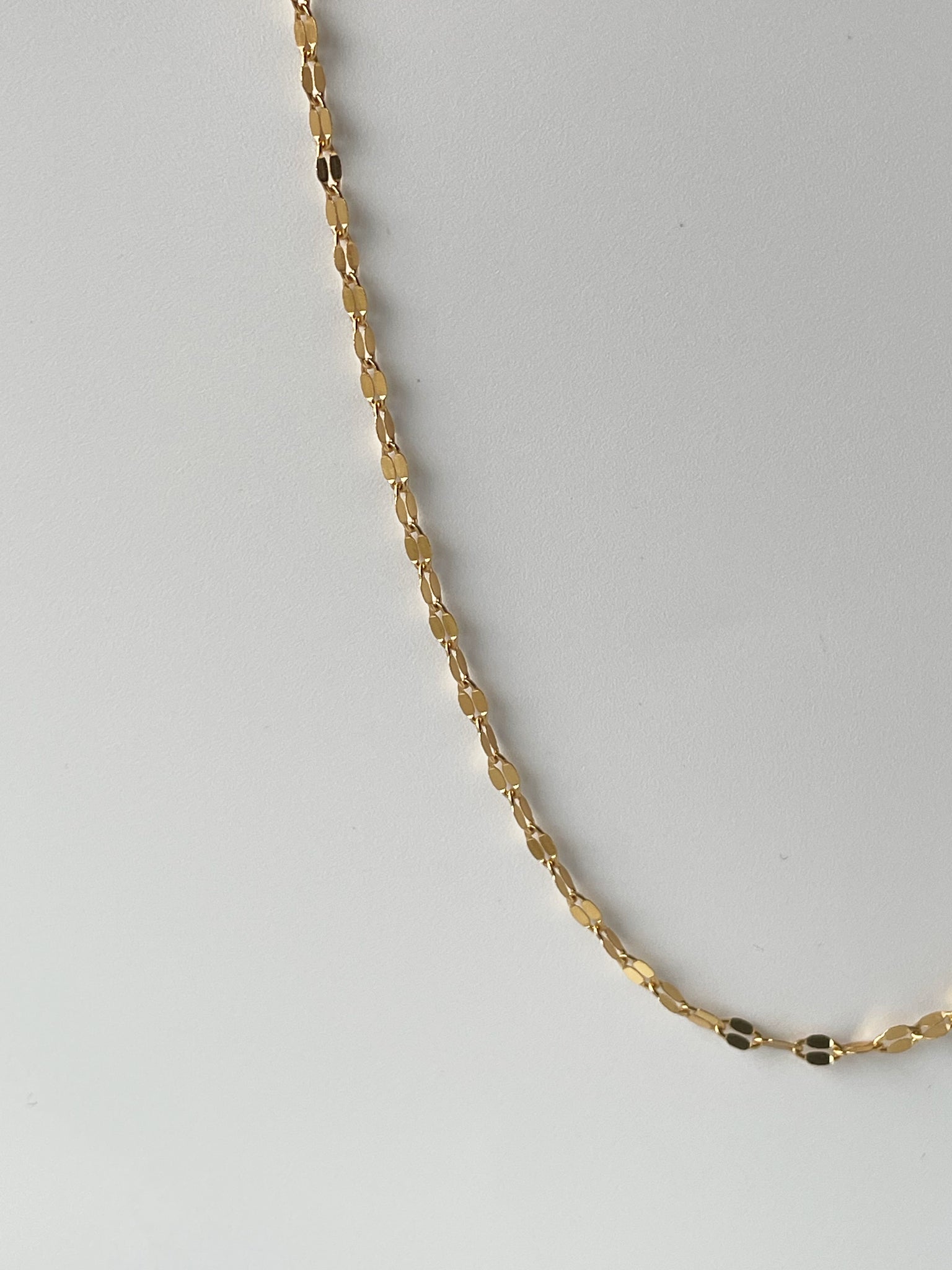 Sparkle Chain Necklace